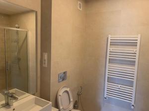 布拉索夫JAD - Luxury - 3 Room Apartments - Urban Plaza的一间带卫生间、水槽和镜子的浴室