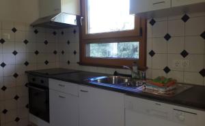 蒂蒂湖-新城Ferienhäusle Sonnenblume Titisee的厨房设有水槽和窗户。