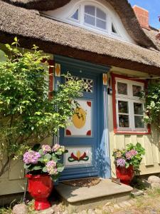 普雷罗Haus am Hafen - romantisch unter Reet, Garten mit Strandkorb und Terrasse的蓝色门和鲜花的小房子