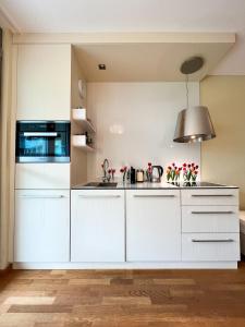 佩特坎内Premium Apartment Falkensteiner的厨房配有白色橱柜和水槽