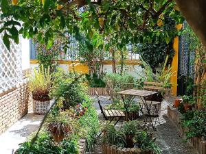 格拉纳达Casa Limonero con parking gratis junto a centro histórico的花园设有桌椅和植物