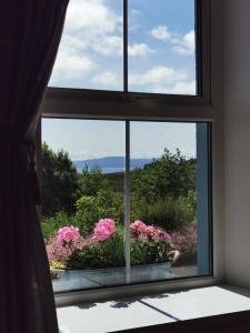多尼戈尔New Listing - Ladybird Cottage - Donegal - Wild Atlantic Way的窗台上装有粉红色花朵的窗户