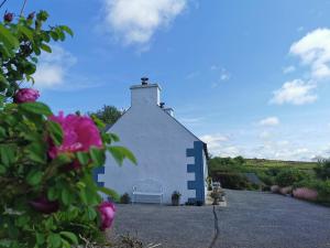多尼戈尔New Listing - Ladybird Cottage - Donegal - Wild Atlantic Way的白色和蓝色的建筑,花朵