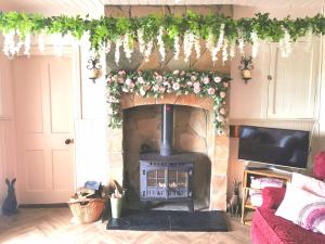 多尼戈尔New Listing - Ladybird Cottage - Donegal - Wild Atlantic Way的客厅设有墙上鲜花壁炉