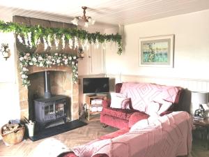 多尼戈尔New Listing - Ladybird Cottage - Donegal - Wild Atlantic Way的带沙发和壁炉的客厅