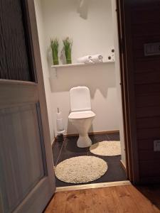 库雷萨雷Cosy guesthouse with sauna and outdoor kitchen的浴室设有卫生间,地板上铺有2块地毯。