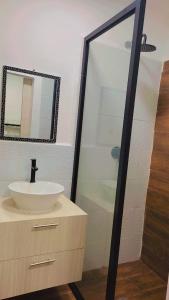 洛佩斯港Verano Azul Loft的一间带水槽和镜子的浴室