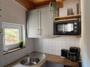 克吕茨Cozy Apartment in Klutz Germany with a Lovely Garden的厨房配有水槽和微波炉