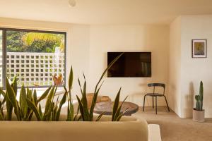 法哈多SELVA by DW的一间带电视和植物的客厅