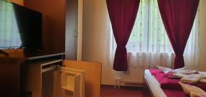 凯亚Pensiunea Cezar-Codrin的客房设有床、电视和窗户。