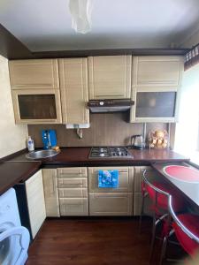 日托米尔Apartment in Shoduar's park的厨房配有白色橱柜和炉灶烤箱。