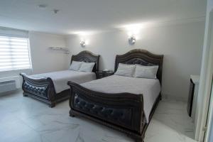 尼亚加拉瀑布外交汽车旅馆的一间卧室设有两张床和窗户。