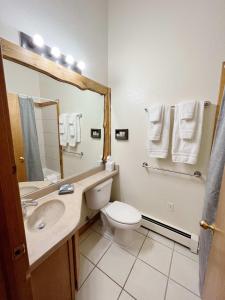 伍德兰帕克Cabin Suite的一间带卫生间、水槽和镜子的浴室