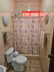 卡沃罗霍Combate Whitehouse, Playa Combate, Cabo Rojo的一间带卫生间和淋浴帘的浴室
