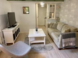 斯德哥尔摩Lower floor of 50 sqm in nice villa with parking的带沙发、电视和桌子的客厅