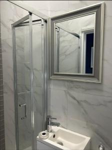 伦敦Gorgeous split level Belsize Park Apartment的带淋浴、盥洗盆和镜子的浴室