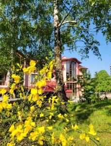 特鲁斯卡韦茨Glory的前景中黄色花的房屋