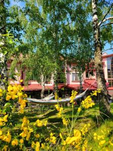 特鲁斯卡韦茨Glory的粉红色房子前方的黄色花卉花园