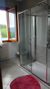 兰波雷基奥Il Chicco apartment的浴室设有玻璃淋浴间和粉红色地毯。