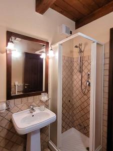 PreturoLocanda San Pietro的一间带水槽和淋浴的浴室