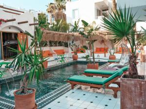 居姆贝特Casa De Nova Hotel的一座带椅子和棕榈树的游泳池