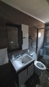 奥赫里德Flat in Trpejca的一间带水槽和卫生间的浴室