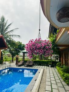 宁平Tam Coc Summer Bungalow的一座房子,里面设有游泳池和一个挂着粉红色花卉的植物