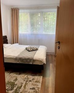 布加勒斯特Cozy and Clean Apartment, near National Arena的一间卧室设有一张床和一个窗口