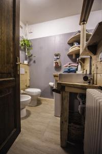 塔尔维西奥A casa di Gerry的一间带水槽和卫生间的浴室
