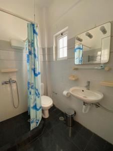 Vagia蓝色海豚公寓的一间带水槽、卫生间和镜子的浴室