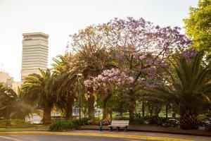 布宜诺斯艾利斯布宜诺斯艾利斯公园大厦豪华精选酒店的种有长凳和紫色花卉的公园