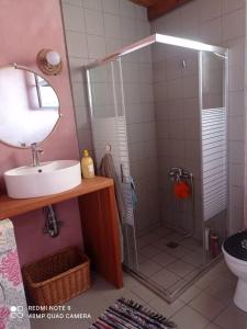 莫奈姆瓦夏zikos house的带淋浴、盥洗盆和镜子的浴室