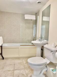 赫里福德Newcourt Manor的浴室配有卫生间、盥洗盆和浴缸。