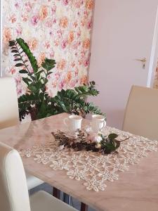 凯斯特海伊Villa Peonia的花边桌布上带两个杯子的桌子