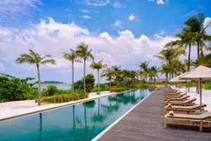 TanjungbingaSheraton Belitung Resort的一个带躺椅和棕榈树的无边际游泳池