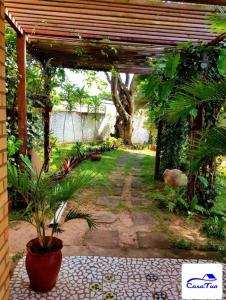 皮帕Casa Tua Pipa的一座花园,花园内种植了木凉棚和植物