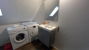 Tour-en-SologneENTRE LOIRE ET CHER Gîte "Le Nid Douillet"的一间带洗衣机和水槽的浴室
