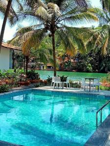 卡纳科纳Pont Bleu Suites的一个带两把椅子的游泳池,一个棕榈树