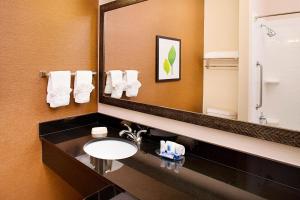 圣安东尼奥圣安东尼奥海洋世界/韦斯托弗山万豪费尔菲尔套房客栈的一间带水槽和镜子的浴室