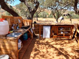 SabóiaLost Paradise - A night into the Alentejo!的一个带水槽和树的户外厨房