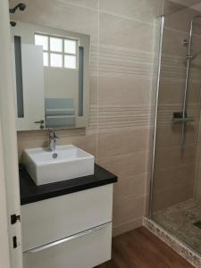 马翁普拉日堡Les pléiades的浴室配有白色水槽和淋浴。