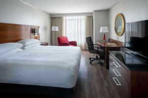 圣彼得堡圣彼得堡克利尔沃特万豪酒店的酒店客房设有一张大床和一张书桌。