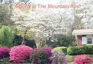 克莱顿Mountain Aire Cottages & Inn的一座花园,花园内种着粉红色的花卉,有标志说山中春天的 ⁇ 