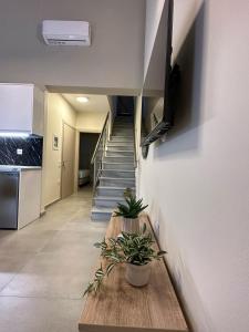 卡利维亚波里吉鲁Bianco Mare Studios-Apartments的走廊上设有楼梯,楼梯间设有盆栽盆栽