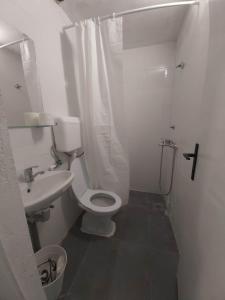 索科矿泉村Apartman Natasa Sokobanja的白色的浴室设有卫生间和水槽。