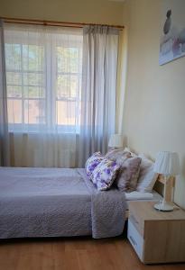 Līči拉古娜酒店的一间卧室设有一张床和一个大窗户