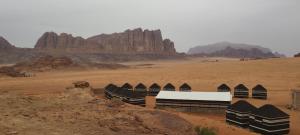 瓦迪拉姆Wadi rum sand Delight camp的沙漠中间的一群圆顶