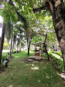 达沃市Davao 2br One Oasis Beside SM Mall-Wifi的棕榈树公园和凉亭