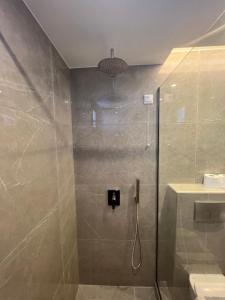 帕拉塔蒙凯梅特酒店的带淋浴的浴室和玻璃门