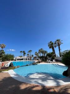 圣米格尔德阿沃纳Suite Poseidon Golf & Ocean View的一座棕榈树环绕的大型游泳池